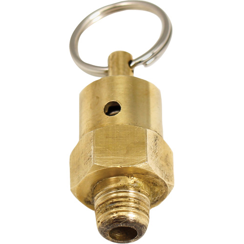Viton&reg; Pressure Relief Valve Seaboard Timber Mart