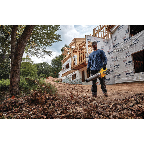 Ventilateur axial &agrave; main sans fil sans balai Max* FlexVolt, 60 V, Vitesse d'air 125 mi/h, &agrave; pile Seaboard Timber Mart