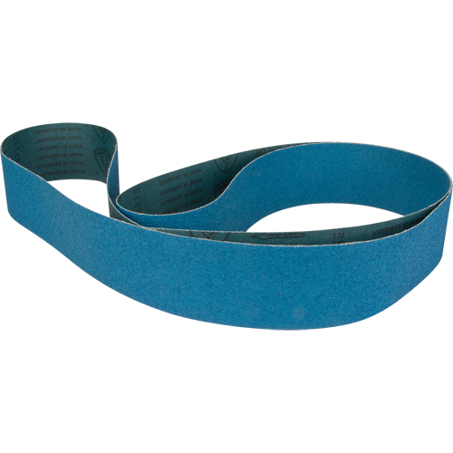 Courroie abrasive bleu Seaboard Timber Mart