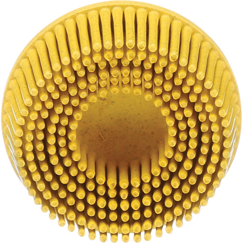 Scotch-Brite Roloc Bristle Disc, Ceramic, Medium Grit, 2" Dia. Seaboard Timber Mart