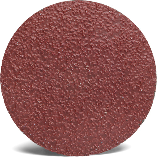 Disque abrasif Roloc 782C 3M, 2" dia., Grain 60+, C&eacute;ramique Seaboard Timber Mart
