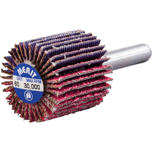 Mini-meule &agrave; lamelles mont&eacute;e sur tige, C&eacute;ramique d'alumine, Grain 60, 1" x 1" x 1/4" Seaboard Timber Mart