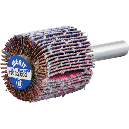 Mini-meule &agrave; lamelles mont&eacute;e sur tige, C&eacute;ramique d'alumine, Grain 120, 1" x 1" x 1/4" Seaboard Timber Mart