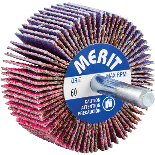 Mini-meule &agrave; lamelles mont&eacute;e sur tige, C&eacute;ramique d'alumine, Grain 60, 2" x 1" x 1/4" Seaboard Timber Mart