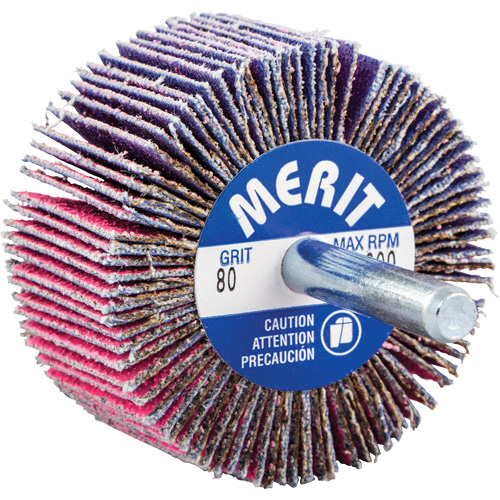 Mini-meule &agrave; lamelles mont&eacute;e sur tige, C&eacute;ramique d'alumine, Grain 80, 2" x 1" x 1/4" Seaboard Timber Mart