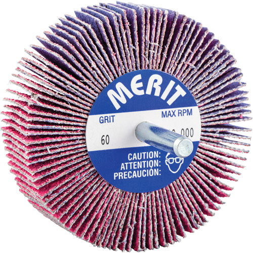 Mini-meule &agrave; lamelles mont&eacute;e sur tige, C&eacute;ramique d'alumine, Grain 60, 3" x 1" x 1/4" Seaboard Timber Mart