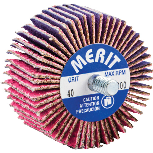 Mini-meule &agrave; lamelles filet&eacute;es, C&eacute;ramique d'alumine, Grain 40, 2" x 1" x 1/4"-20 Seaboard Timber Mart