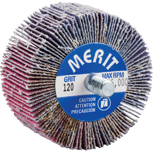 Mini-meule &agrave; lamelles filet&eacute;es, C&eacute;ramique d'alumine, Grain 120, 2" x 1" x 1/4"-20 Seaboard Timber Mart