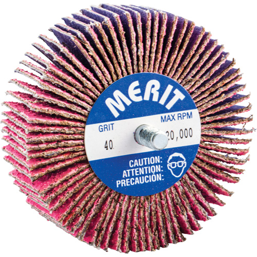 Mini-meule &agrave; lamelles filet&eacute;es, C&eacute;ramique d'alumine, Grain 40, 3" x 1" x 1/4"-20 Seaboard Timber Mart