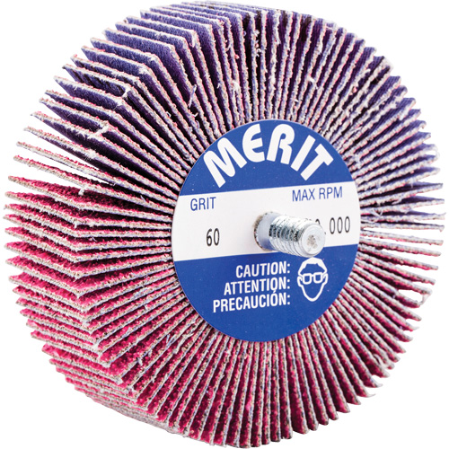 Mini-meule &agrave; lamelles filet&eacute;es, C&eacute;ramique d'alumine, Grain 60, 3" x 1" x 1/4"-20 Seaboard Timber Mart