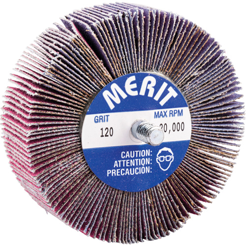Mini-meule &agrave; lamelles filet&eacute;es, C&eacute;ramique d'alumine, Grain 120, 3" x 1" x 1/4"-20 Seaboard Timber Mart