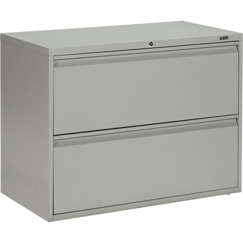 Lateral Cabinet, Steel, 2 Drawers, 36" W x 19-1/4" D x 27-31/100" H, Grey Seaboard Timber Mart