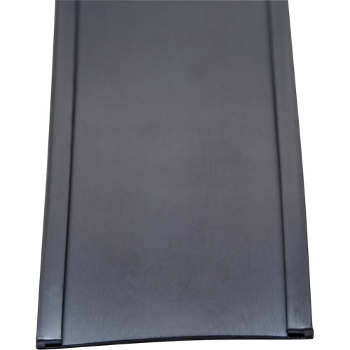 Porte-&eacute;tiquette, Magn&eacute;tique, 600" lo x 2" la Seaboard Timber Mart