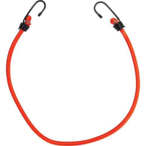 Bungee Cord Tie Downs, 24" Seaboard Timber Mart
