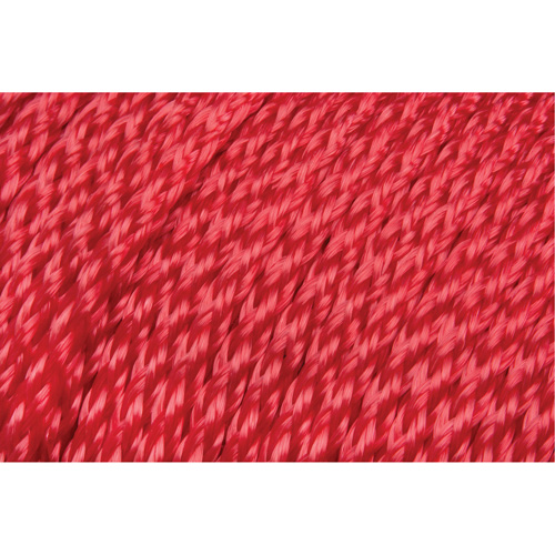 Corde rouge tress&eacute;e, Polypropyl&egrave;ne, 500' Seaboard Timber Mart