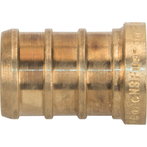 Lead-Free Pipe Plug, Pipe, 1/2" Dia., Brass Seaboard Timber Mart