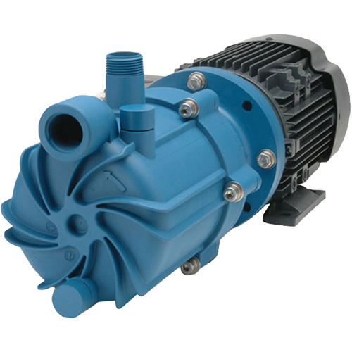 Self-Priming Magnetic Drive Pump with Carbon Bushing Seaboard Timber Mart
