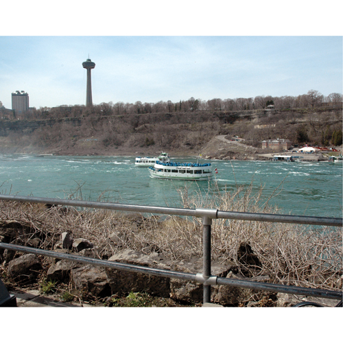 Pipe Fittings - Short Tees, 1.05" Seaboard Timber Mart