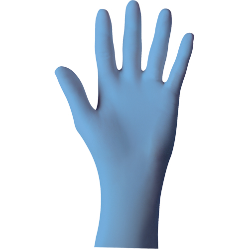 Gants N-DEX Ultimate, 9/Grand, Nitrile, 6 mils, Sans poudre, Transparent Seaboard Timber Mart