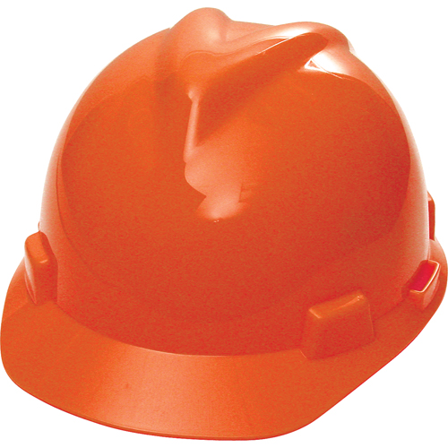 V-Gard&reg; Protective Cap, Pinlock Suspension, Non-Vented Seaboard Timber Mart