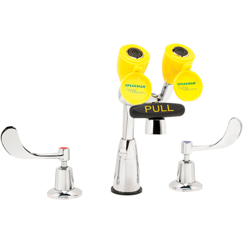 Faucet & Eyewash Station, Sink Mount Installation Seaboard Timber Mart