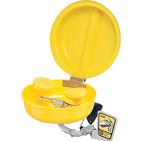 Douche oculaire/faciale avec couvercle, Installation Socle, Bol Plastique Seaboard Timber Mart