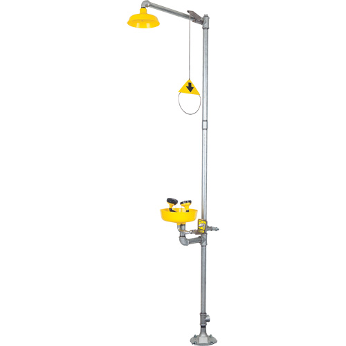 Combinaison de douche oculaire/faciale Seaboard Timber Mart