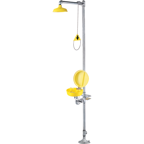Combinaison de douche oculaire/faciale a/couvercle Seaboard Timber Mart
