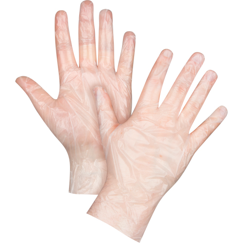 Economy Disposable Gloves, Small, Polyethylene, 1-mil, Powder-Free, Clear Seaboard Timber Mart