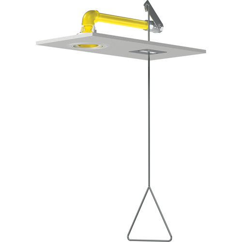 Douches d'urgence &agrave; alimentation horizontale, Montage au plafond Seaboard Timber Mart