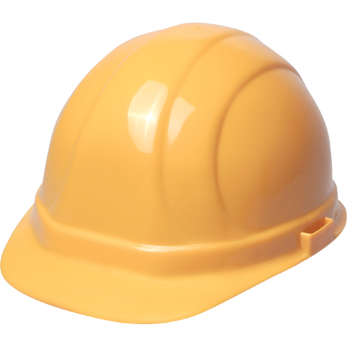 ERB Casque de s&eacute;curit&eacute; Omega II, R&eacute;pond aux normes CSA type 2, Suspension Rochet, Non ventil&eacute; Seaboard Timber Mart
