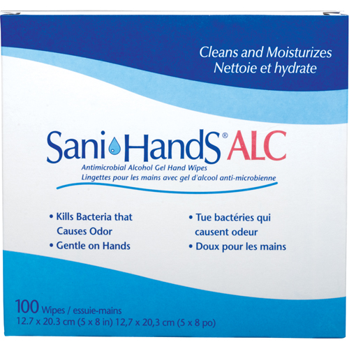 Sani-Hands&reg; ALC Antimicrobial Hand Wipes, Packet Seaboard Timber Mart