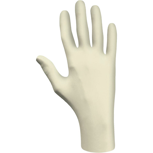 Disposable Gloves, Large, Latex, 3-mil, Powder-Free, Natural, Class 2 Seaboard Timber Mart