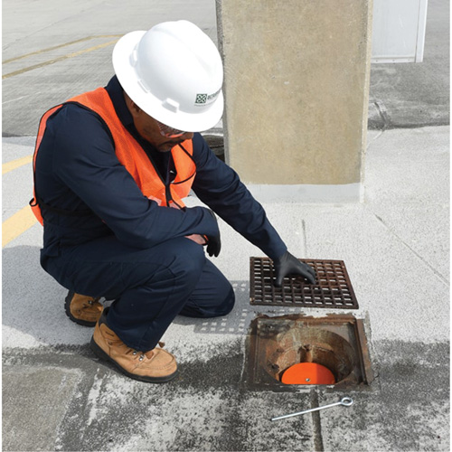 Bouchons pour drain Seaboard Timber Mart