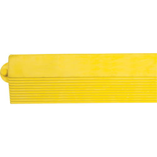 Rampe de bordure pour tapis Seaboard Timber Mart