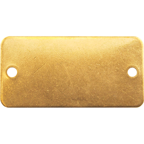 Blank Tags, Brass, 2" W x 1" H Seaboard Timber Mart
