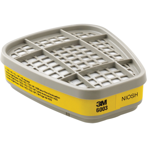 Cartouches pour respirateur s&eacute;rie 6000, Cartouche gaz/vapeur, Vapeurs organiques/Gaz acides Seaboard Timber Mart