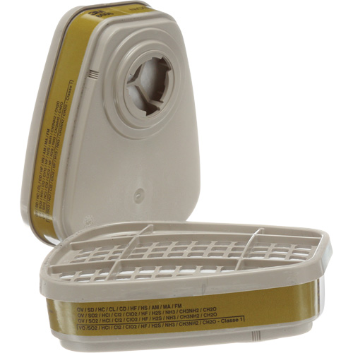 Cartouches pour respirateur s&eacute;rie 6000, Cartouche gaz/vapeur, Gaz multiples/Vapeurs Seaboard Timber Mart