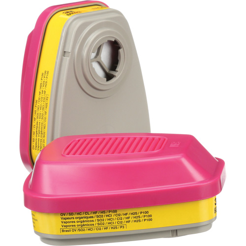 Cartouches pour respirateur s&eacute;rie 6000, Cartouche gaz/vapeur, Vapeurs organiques/Gaz acides/P100 Seaboard Timber Mart