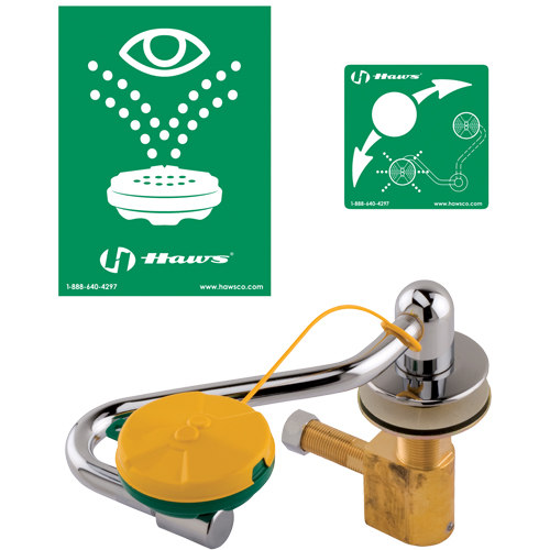 Eye/Face Wash Station, Sink Mount Installation Seaboard Timber Mart