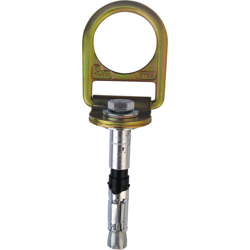 PRO Concrete D-ring Anchor with Bolt, Concrete/D-Ring, Permanent Use Seaboard Timber Mart