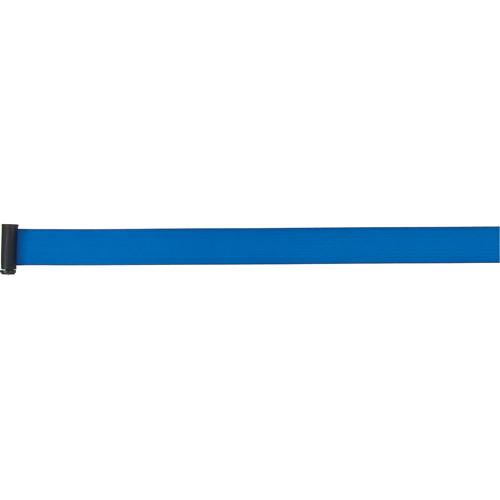 Tape Cassettes for Build-Your-Own Crowd Control Barriers, 7', Blue Tape Seaboard Timber Mart