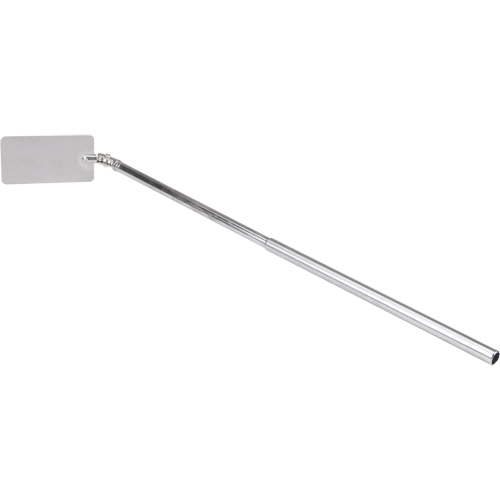 Miroir d'inspection, Rectangulaire, 3-3/4" lo x 2" la, T&eacute;lescopique Seaboard Timber Mart