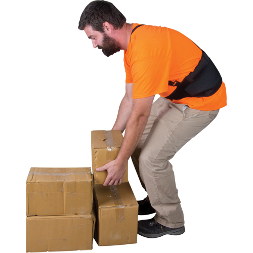 Back Support, Elastic, X-Large Seaboard Timber Mart