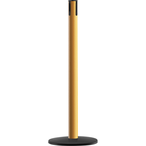 Advance TensaBarrier&reg; - Receiver Post, 36" High, Yellow Seaboard Timber Mart