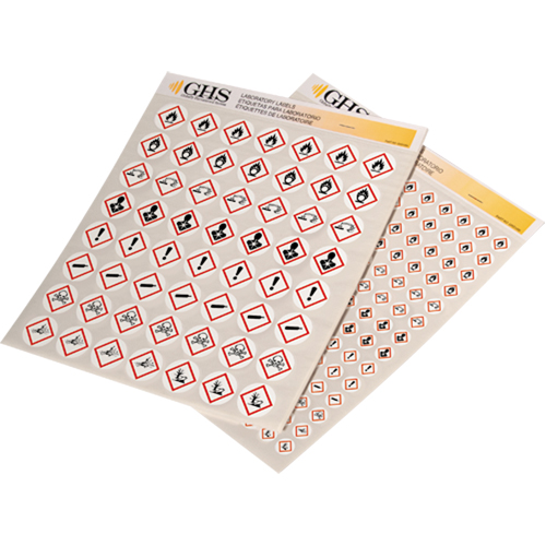 GHS Hazard Pictogram Label Variety Packs, Vinyl, Sheet, 1/2" L x 1/2" W Seaboard Timber Mart