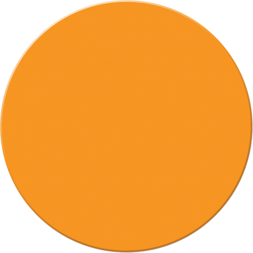 Marqueurs all&eacute;g&eacute;e/5S Armor Stripe, Cercle, 6" lo x 6" la, Orange, Plastique Seaboard Timber Mart