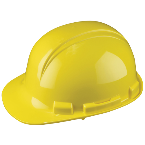 Casque de s&eacute;curit&eacute; Whistler de North, R&eacute;pond aux normes CSA type 1, Suspension &agrave; douille, Non ventil&eacute; Seaboard Timber Mart