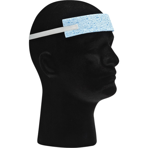 Dynamic Foam Sweat Band with Elastic Head Strap Seaboard Timber Mart