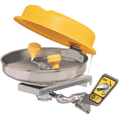 Eyewash Station, Wall-Mount Installation, Stainless Steel Bowl Seaboard Timber Mart